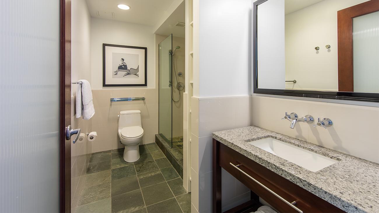 Guest Bathroom (Guestroom)